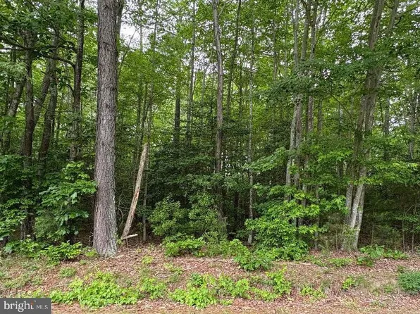 0 Bogey Neck Rd, Heathsville, VA 22473