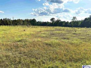 3699 S Hill Rd, Timmonsville, SC 29161