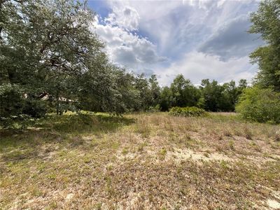 34331 Rim Rock St #17, Webster, FL, 33597
