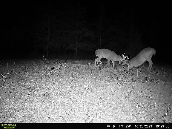 3rd image of 0 Bennett Rd
