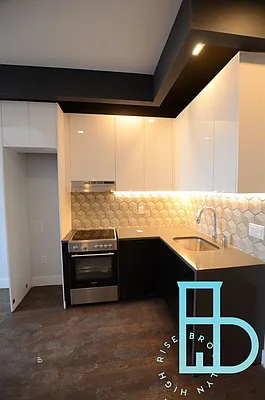 Rented by Brooklyn High Rise LLC | media 13