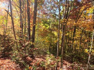0 Angel Of The Lake St #17, Lake Lure, NC 28746