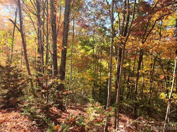 0 Angel Of The Lake St #17, Lake Lure, NC 28746