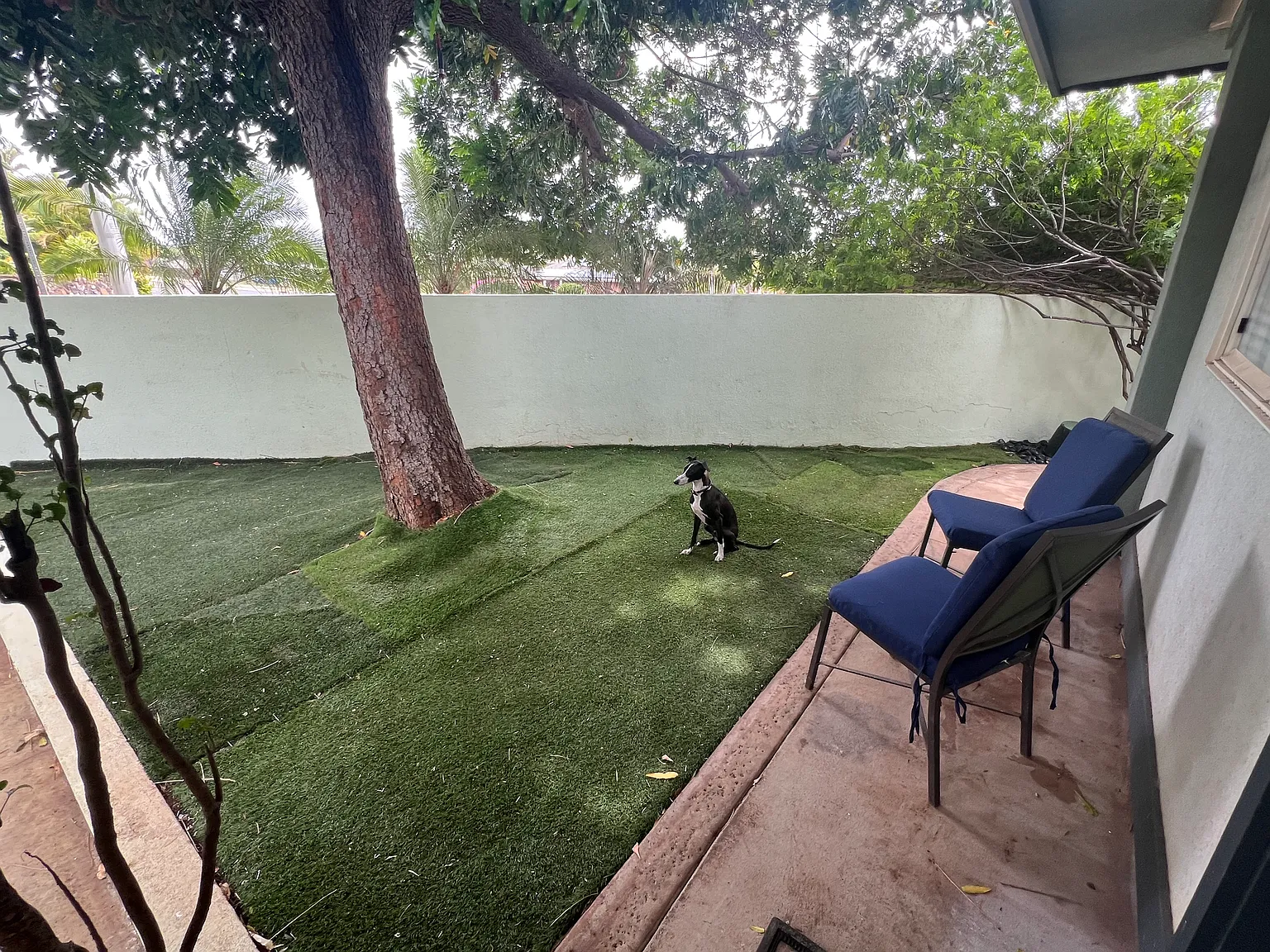 1 bed, 576 sqft, $2,800 — Photo 4