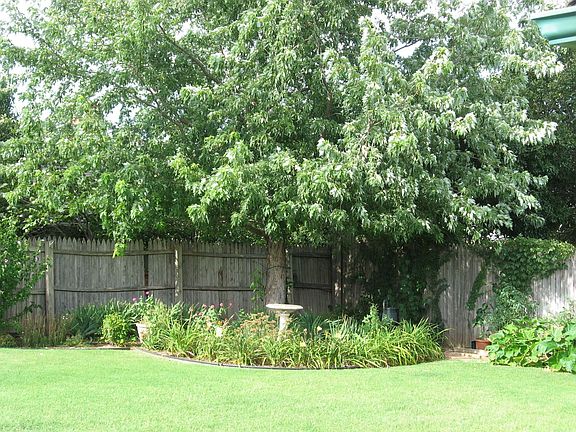 Nicely landscaped backyard
