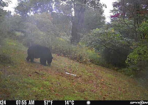 99th image of this home