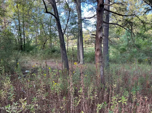 150 Helm St #5&6, Richland, MS 39218