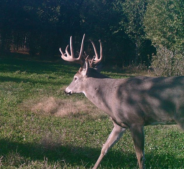 2nd image of Marken Rd