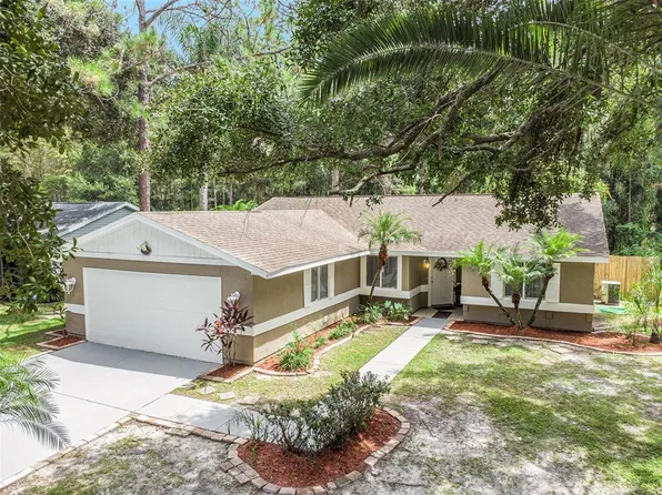 5344 Black Pine Dr, Tampa, FL 33624