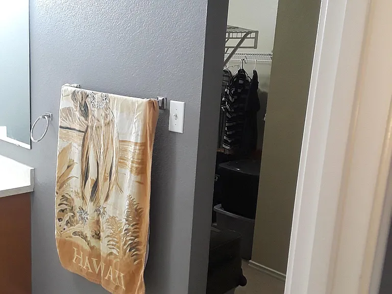 3007 Quiet Plain Dr — Photo 36