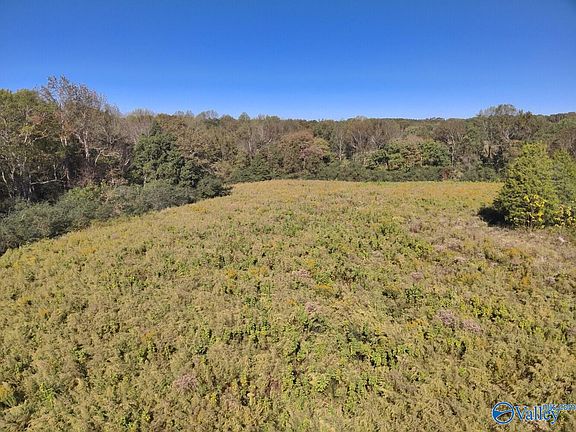 2nd image of Murphee Rd