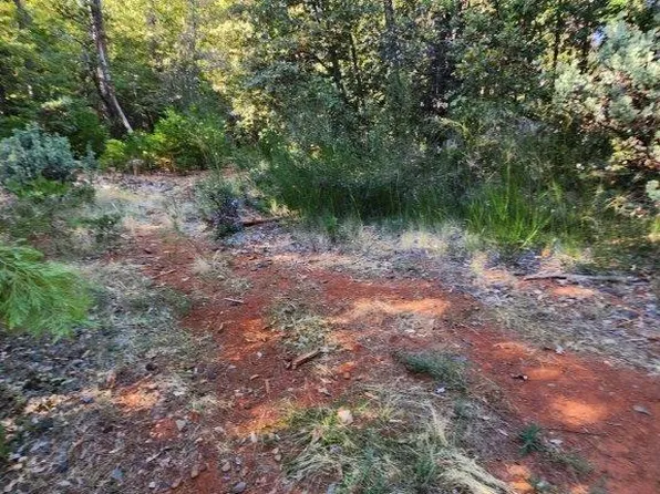 Walden Pond Ln, Forbestown, CA 95941