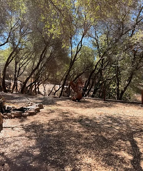2330 Double O Mine Trl — Photo 44