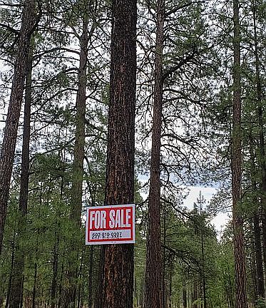 3rd image of 4845 Deep Forest Dr