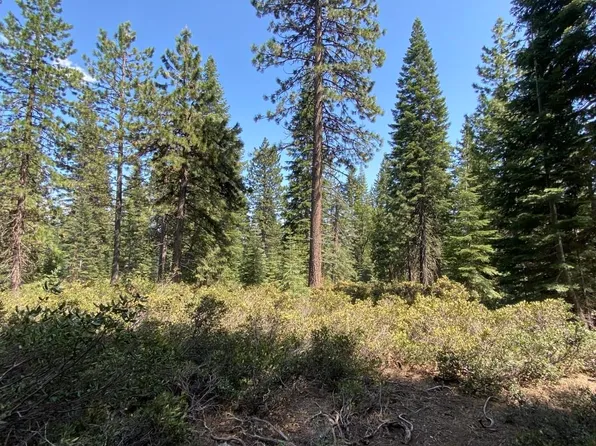 4 Summit View Dr #G, McCloud, CA 96057