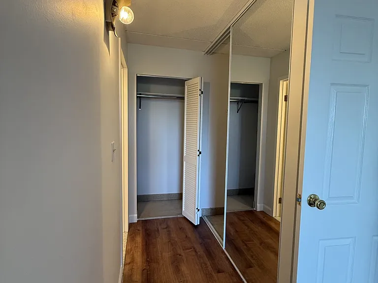 Primary bedroom closets