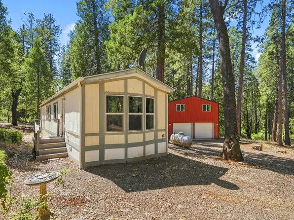 10814 Blue Mountain Ranch Rd, Whitmore, CA 96096