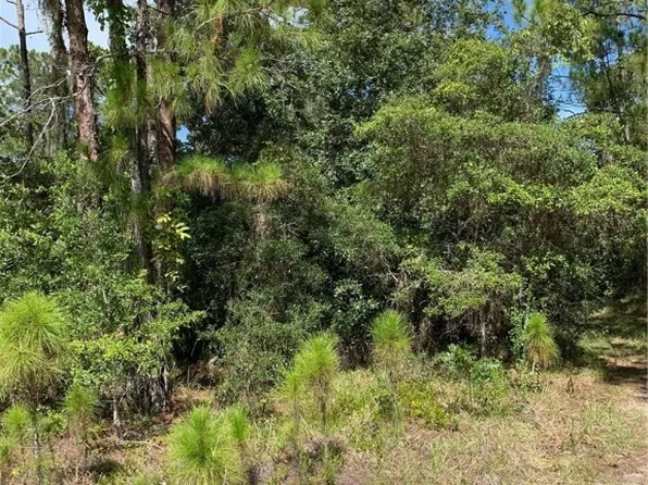 379 Imagination Dr, Lake Placid, FL 33852