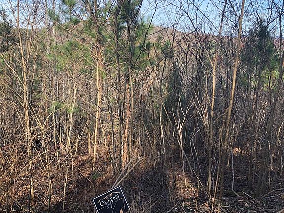4th image of LOT 61 The Hills At Queens Bay