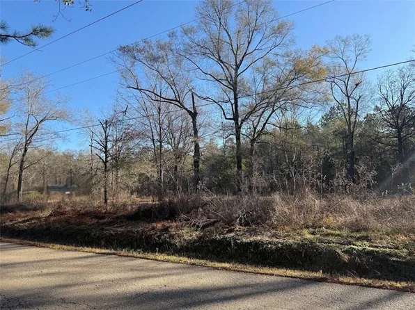 25230 Fire Tower Rd, Holden, LA 70744