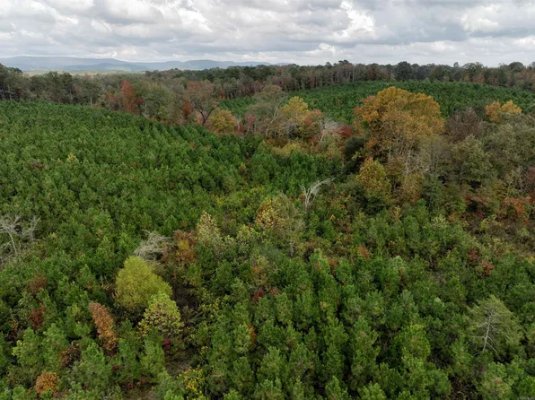 134 Polk Rd #130, Mena, AR 71953