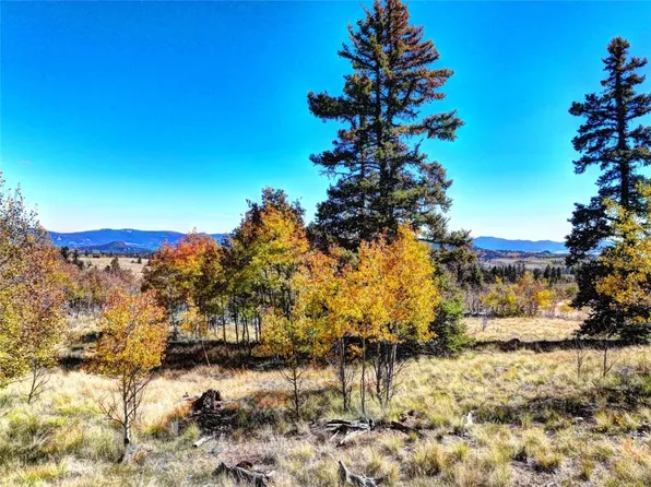 74 Antelope Cir, Como, CO 80432