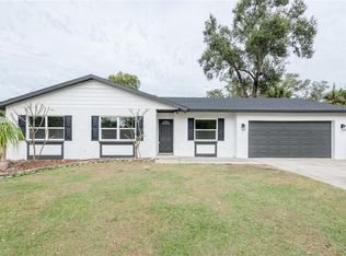 916 Tangelo Pl, Brandon, FL 33510