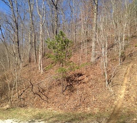 2nd image of 836 Buck Holw