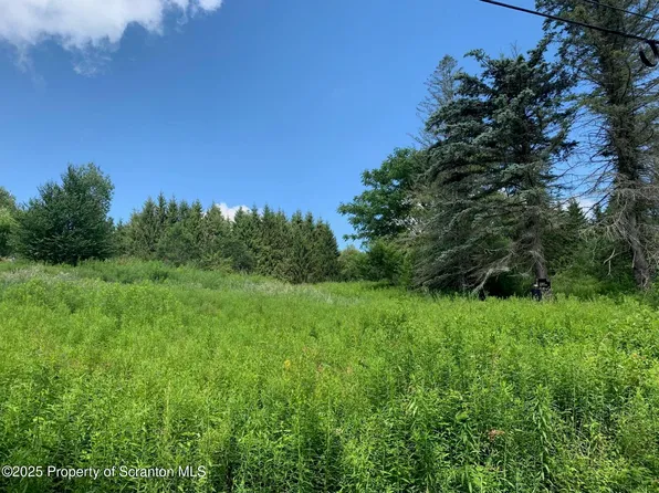 1855 Ararat Rd, Thompson, PA 18465