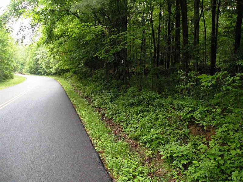 4th image of LAKE MILLS Road