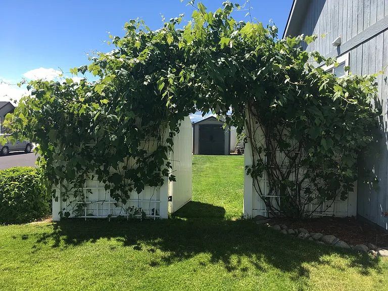 2018 Wellington Dr — Photo 14