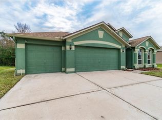 28909 Stormcloud Pass, Zephyrhills, FL 33543