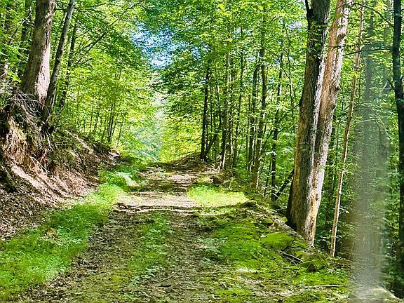 5th image of 0 Jake Wireman Fork Rd