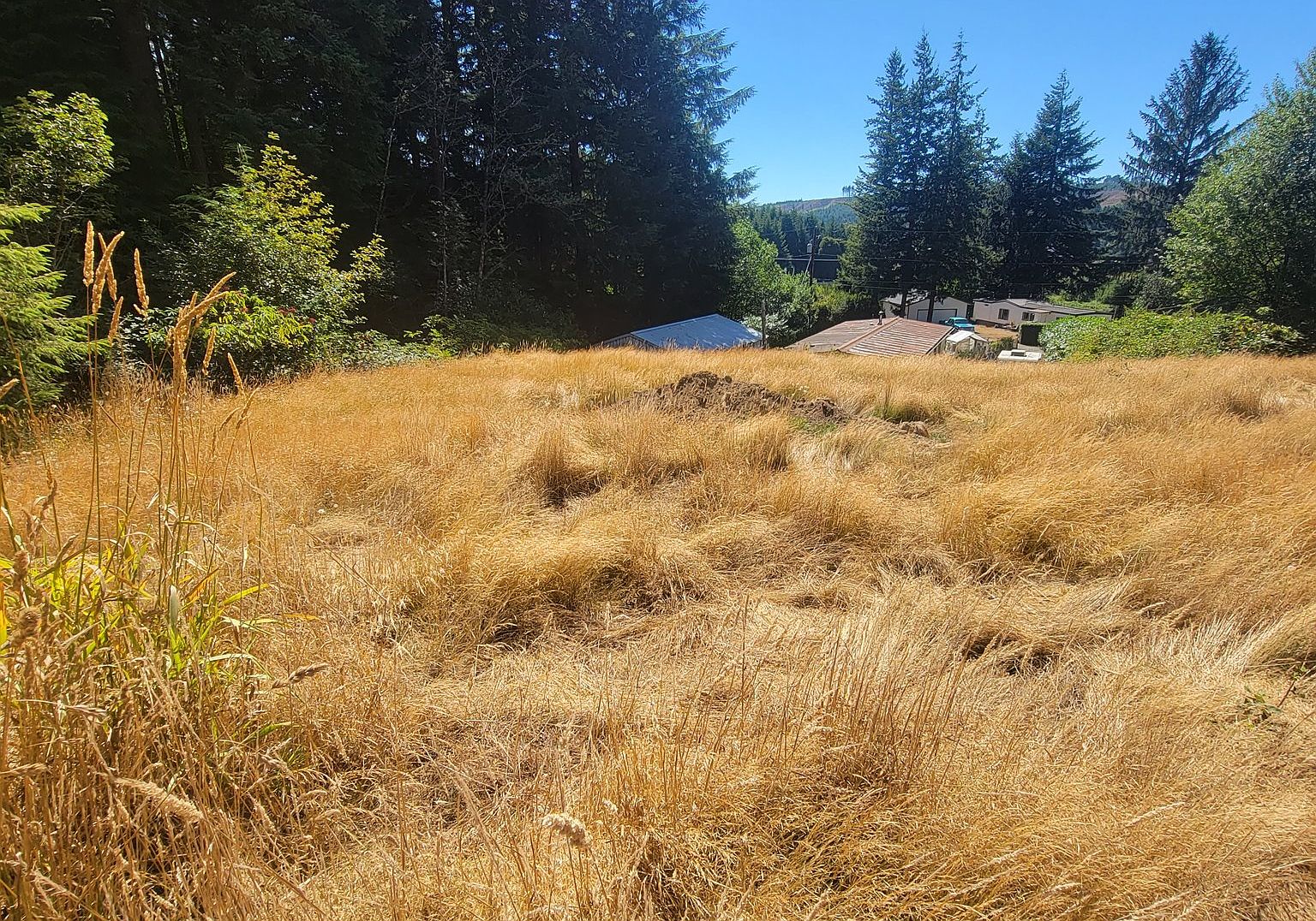 62967 Rosebud Dr, Coos Bay, OR 97420 MLS 23636895 Zillow