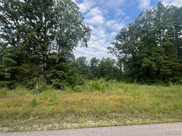 0 Grassy Hollow Rd, Potosi, MO 63664