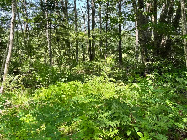 TBD Frye Road, Somerville, ME 04348