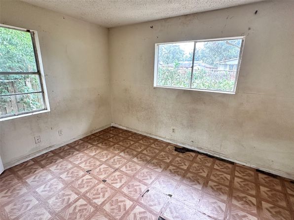 houston-texas-80565596 picture