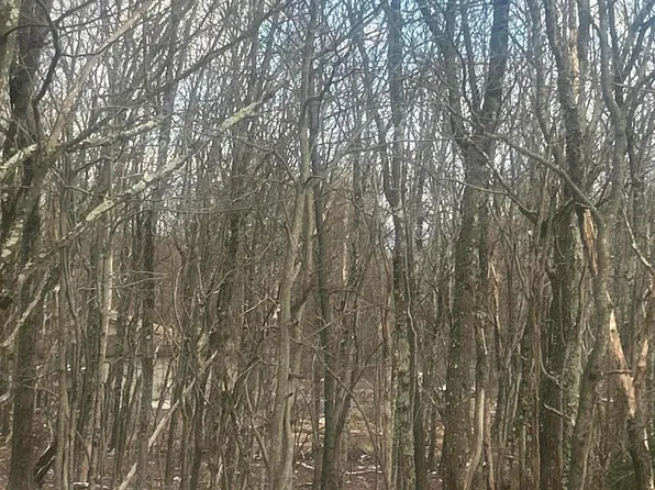 719-721 Wenatche Trl, Albrightsville, PA 18210