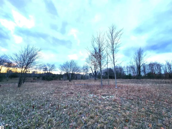 Lots 9 & 10 Lakeshore, Buckley, MI 49620