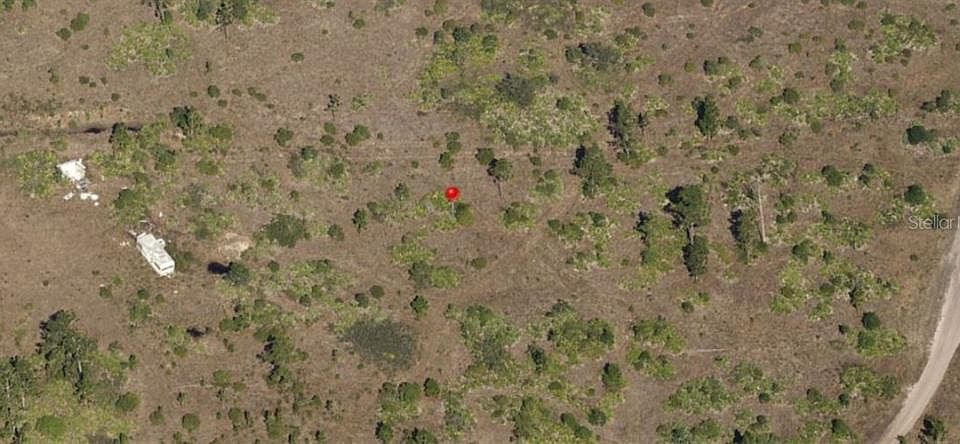2nd image of Holopaw Groves Rd #1