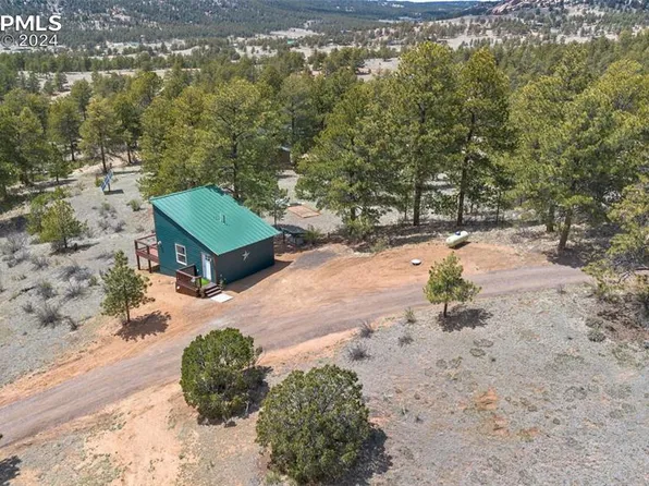 145 Sioux Cir, Florissant, CO 80816