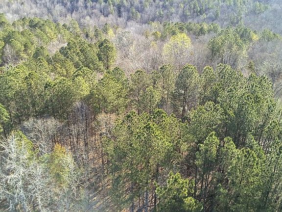 5th image of 0 Boyds Mill Pond Rd