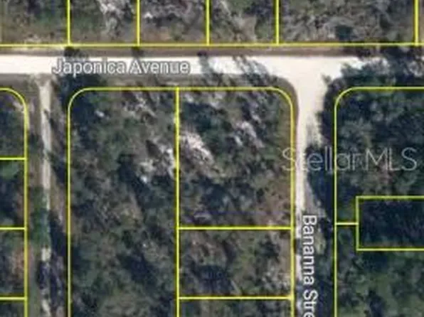3021 JAPONICA AVENUE LOT 21, LAKE PLACID, FL 33852
