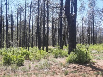 A9 To Be Named, Las Vegas, NM, 87701