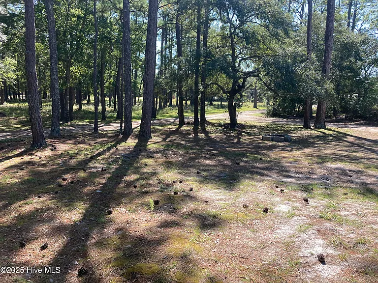 267 Watts Landing Rd — Photo 4