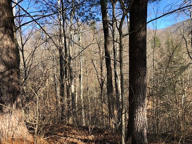 2nd image of Beech Creek Estates N 226 Hwy