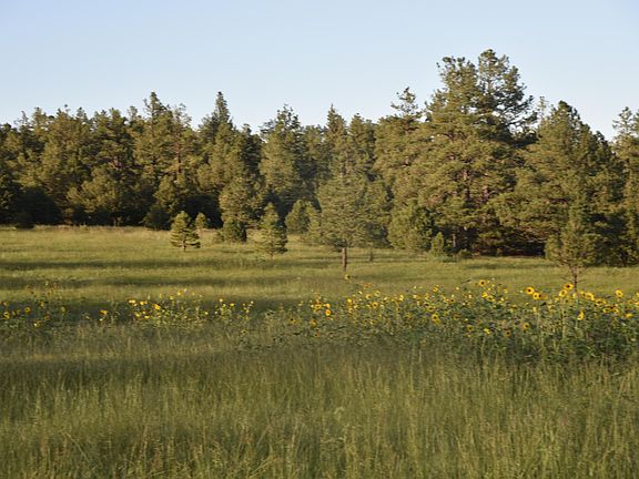 2nd image of 21270 Spirit Mountain Dr Lot Filing 1/l