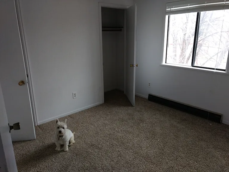 6520 Fossil Crest Dr — Photo 7