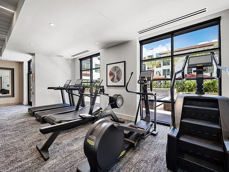 Cardio zone with treadmills, ellipticals, and stair climber