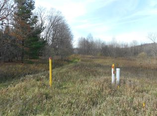 9540 Chief Rd, Bear Lake, MI 49614